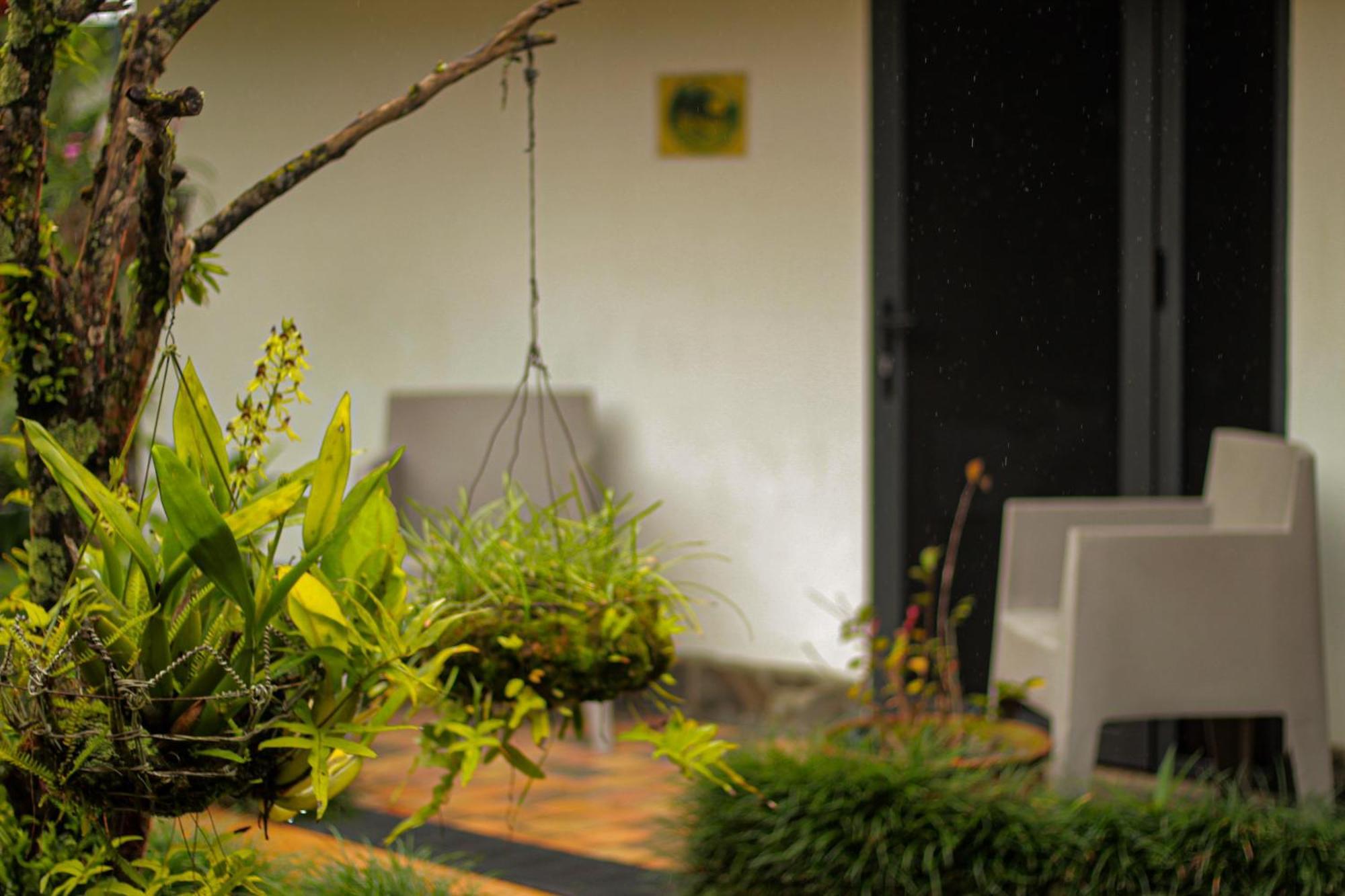 Hotel Isla Bajo Boquete